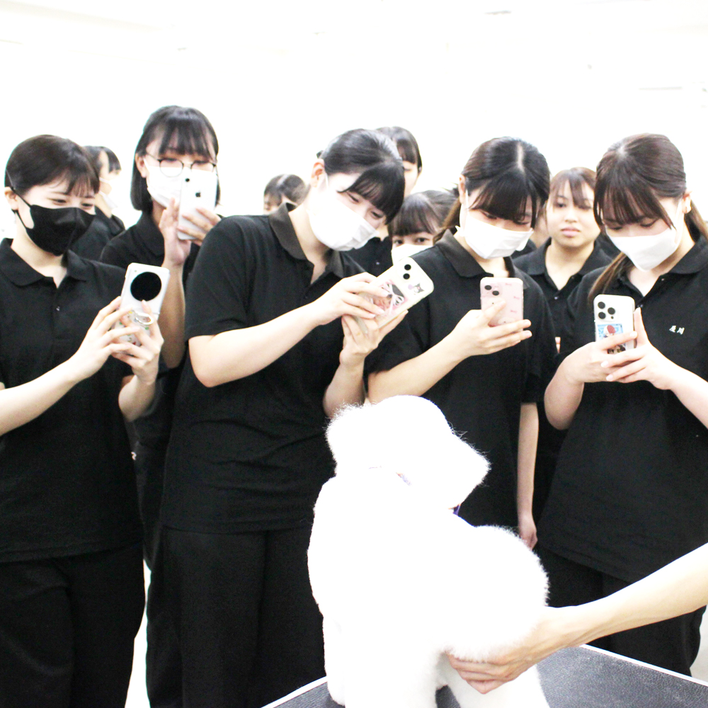 ２年生へ向けて先生の試技会～午後の部～